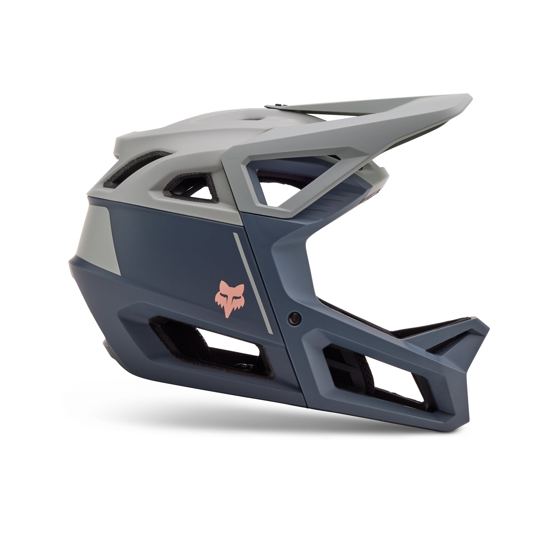 Proframe Helmet