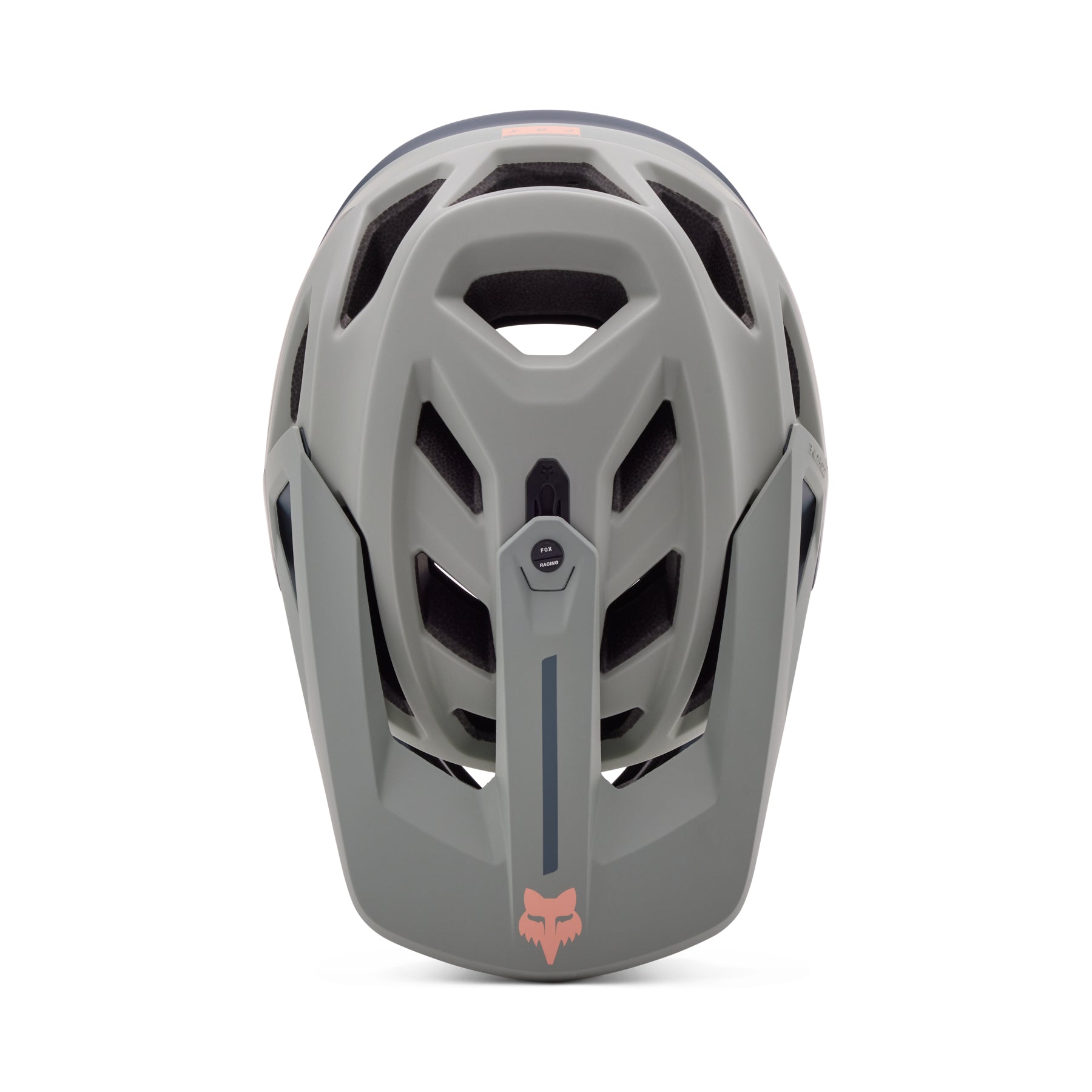 Proframe Helmet
