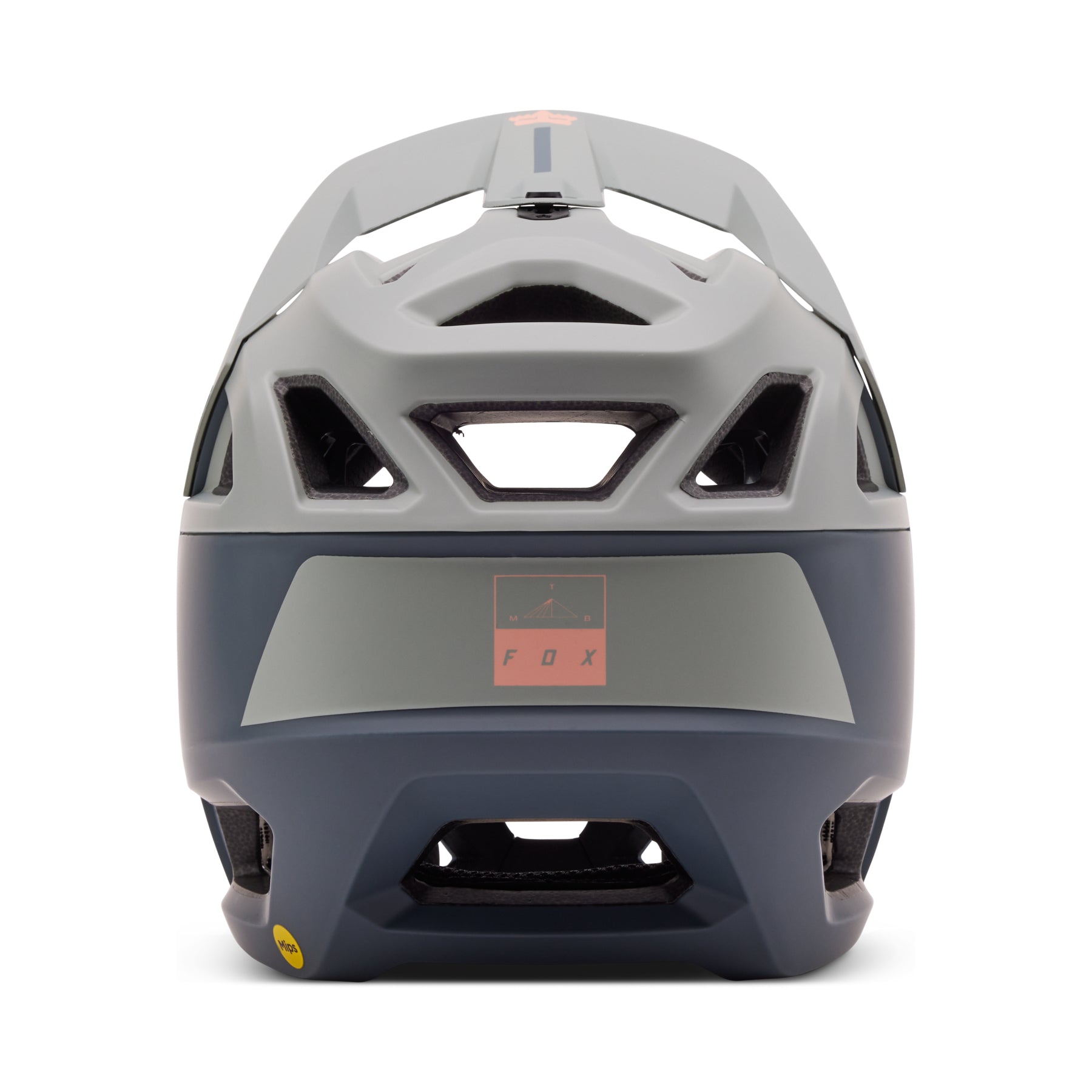 Proframe Helmet