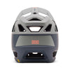 Proframe Helmet