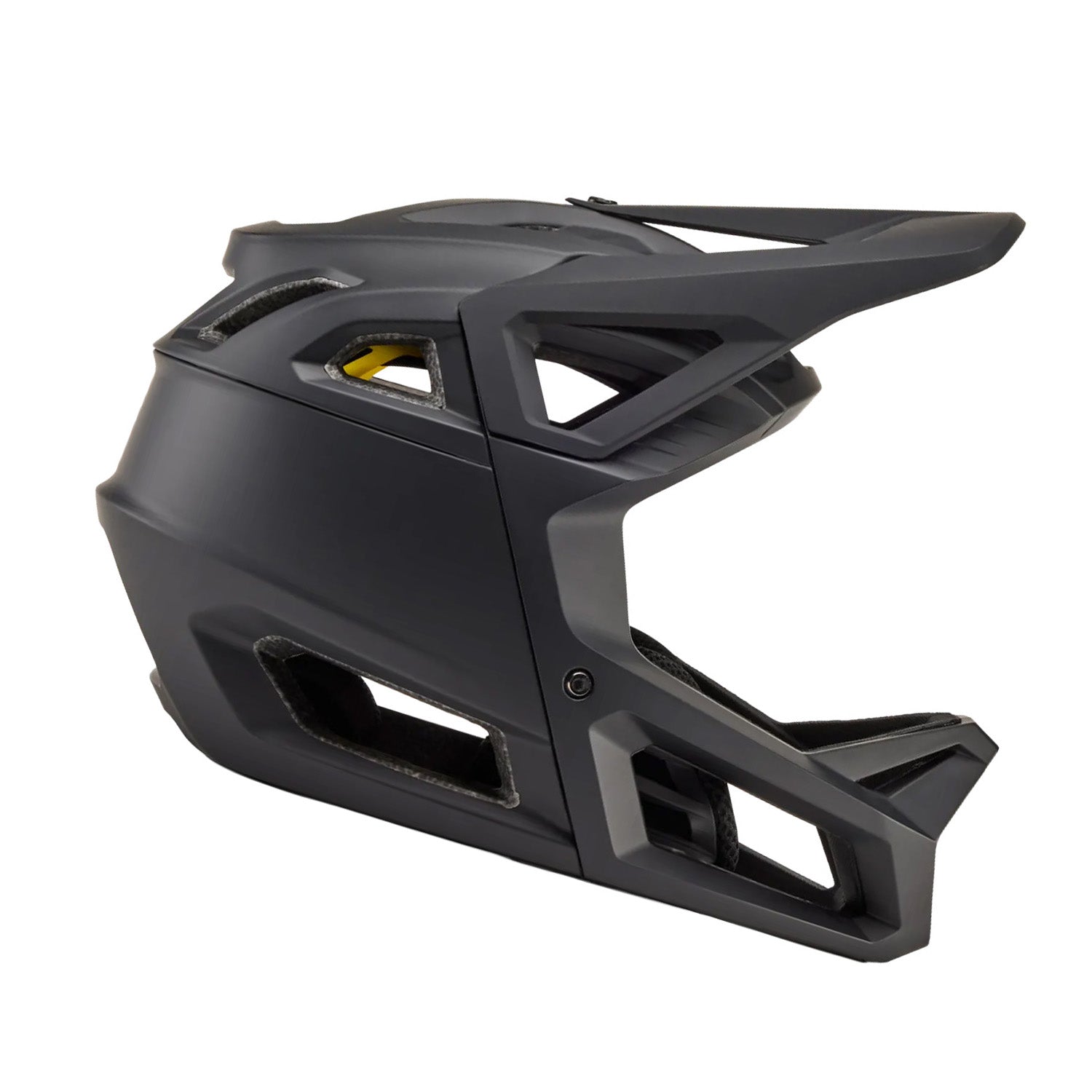 Proframe Helmet