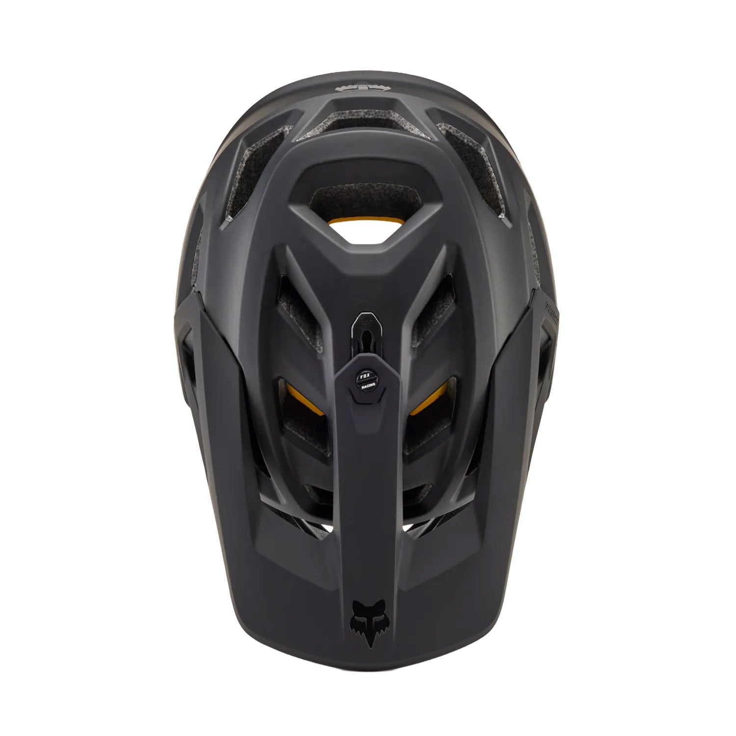Proframe Helmet