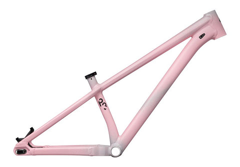 P.3 frame satin cool grey diffused / desert rose / black 26"