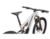 Stumpjumper 15 Fox Coil Alloy - 2025