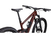 Enduro Expert Carbon