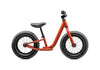 2025 Hotwalk Bike
