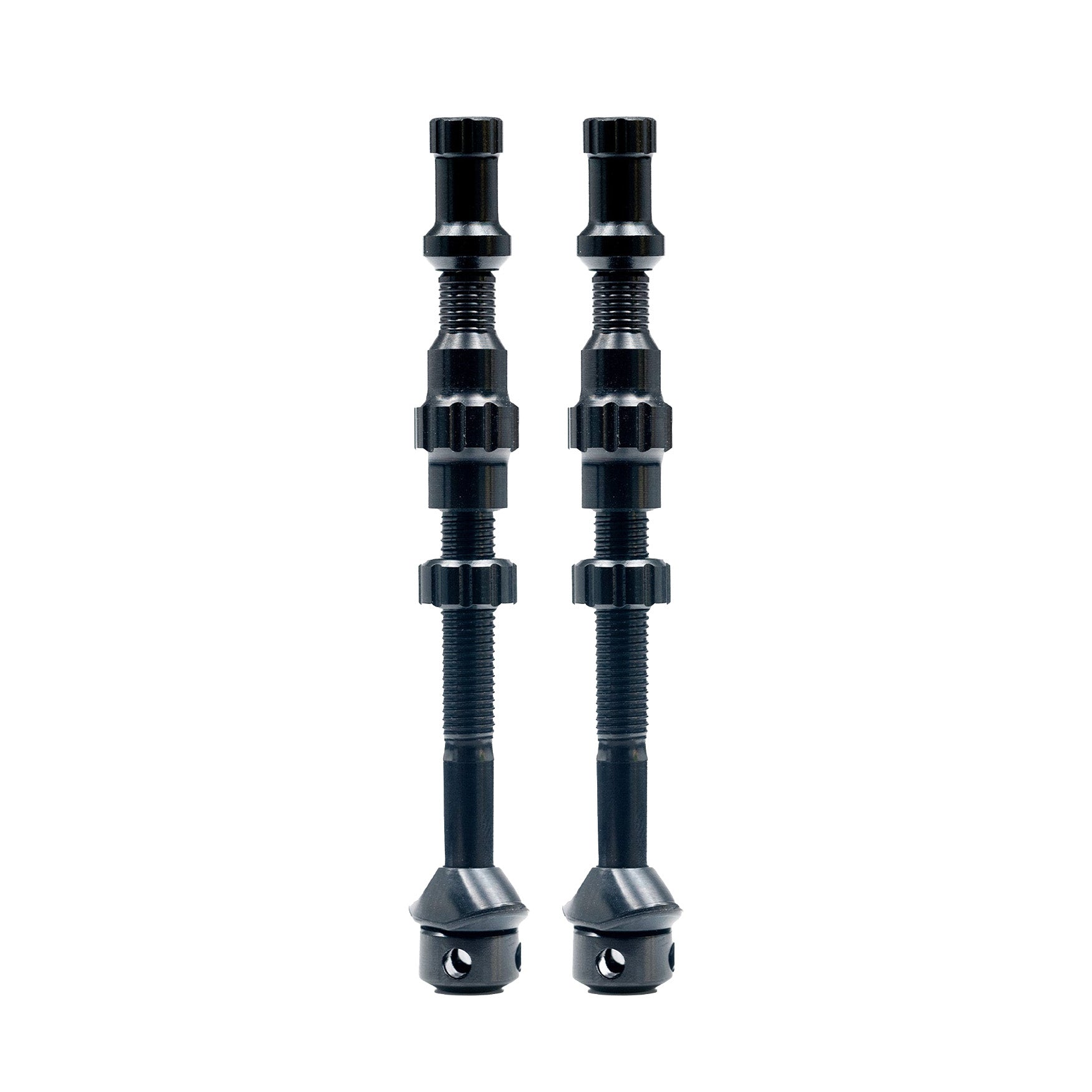 Tubeless Exo-Core Valve Stem