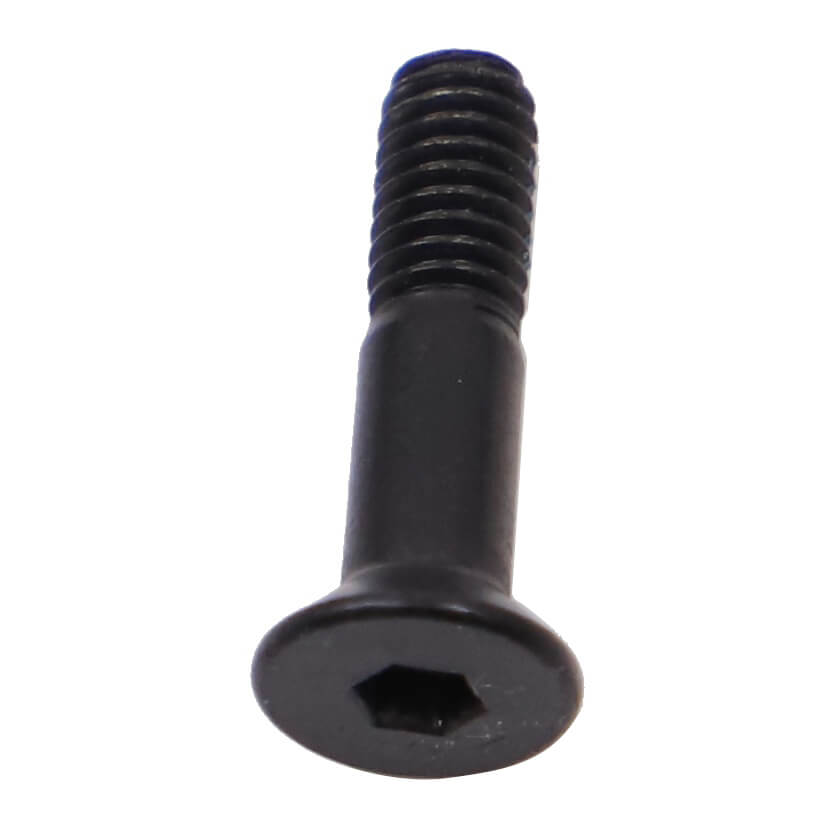 Chain Guide Adapter Screw (M4x15)
