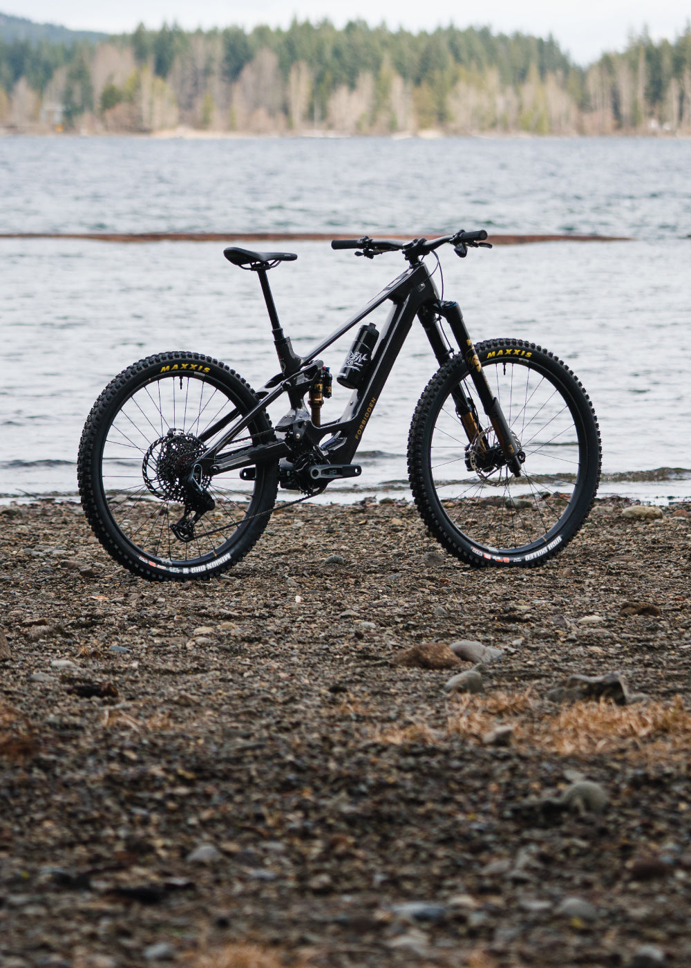 Anyone 4種類 + Fontaine Cycling Bellingham Bike Shop | Custom Mountain Bikes | Mountain Bikes