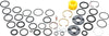 Duke/Psylo Service Kit w/O-rings, Glide Rings