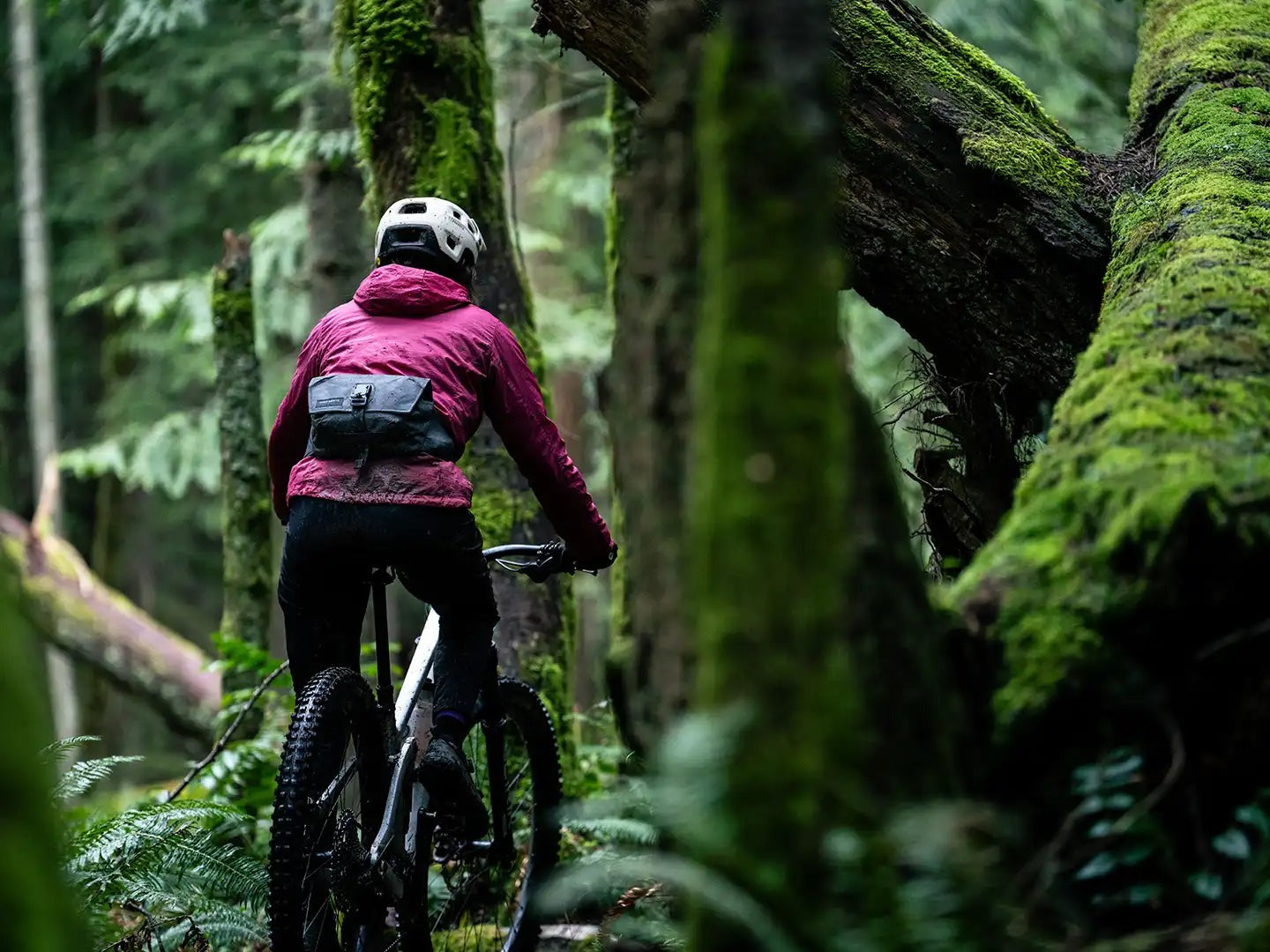 Venture 3D 2.5L Hip Pack