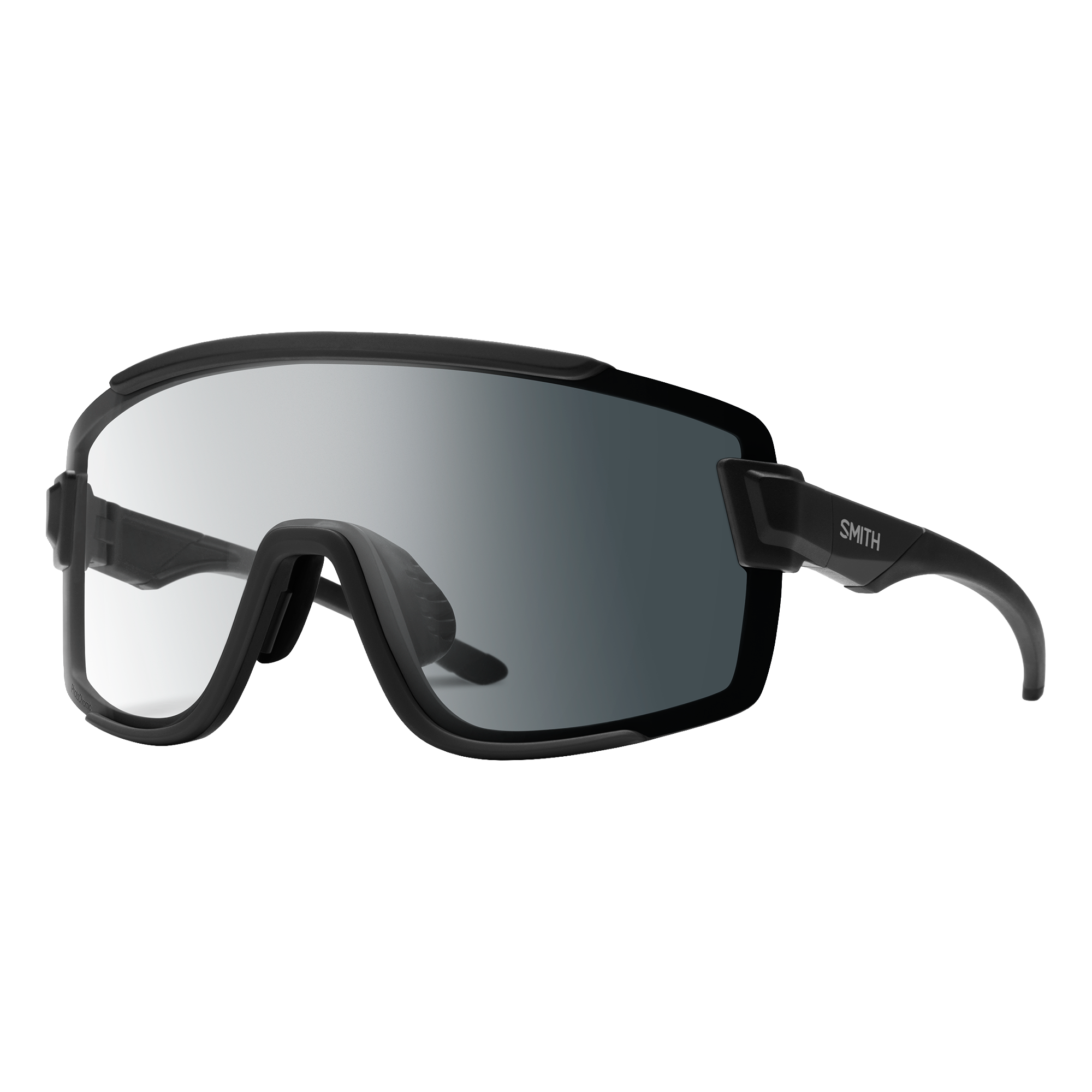 Wildcat Sunglasses