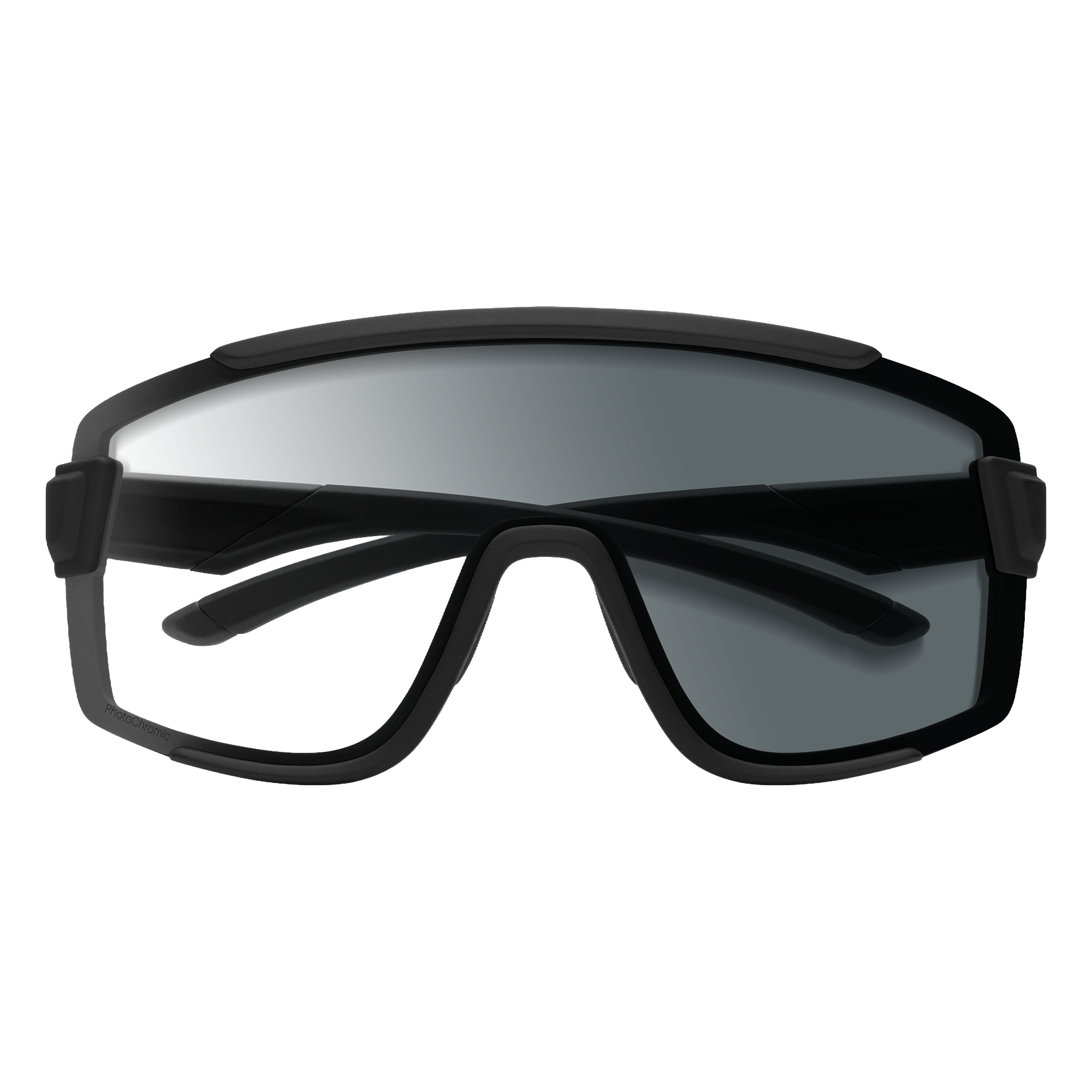 Wildcat Sunglasses