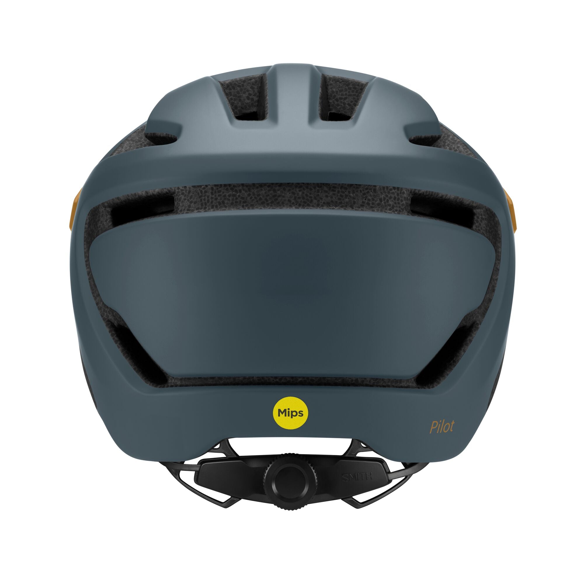 Pilot MIPS Helmet