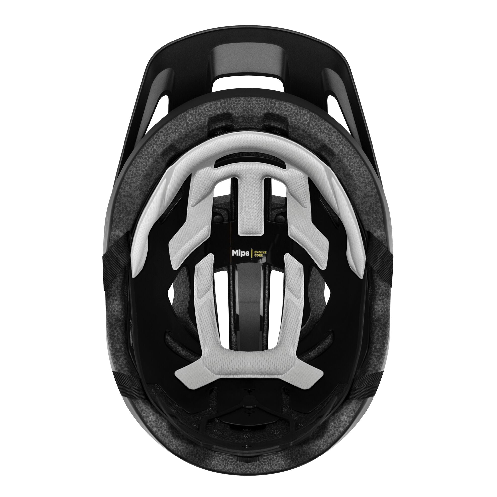 Pilot MIPS Helmet