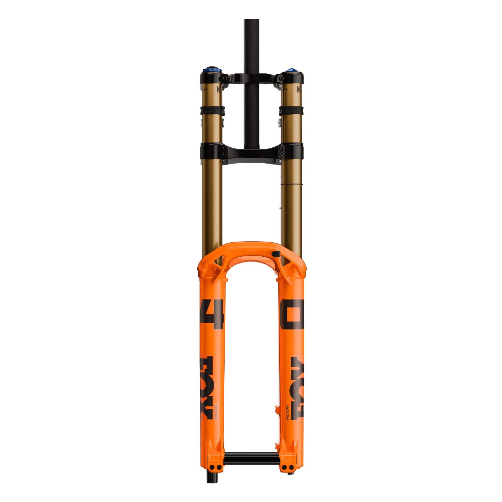 FOX RACING factory F29 サスペンションフォーク Amazon | FOX 34 AWL サスペンションフォーク 29インチ 100mm | FOX