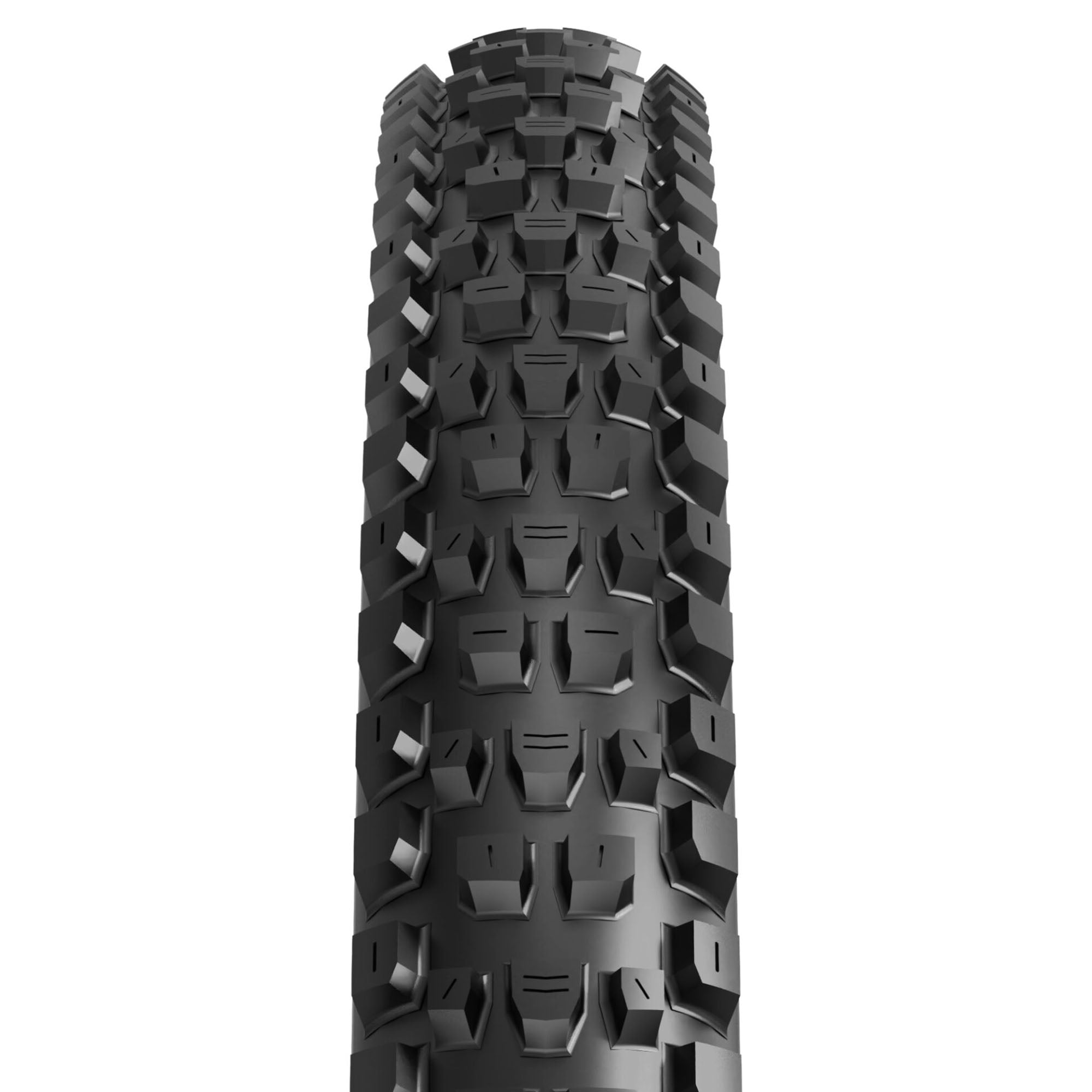 Maxxis Dissector II 29