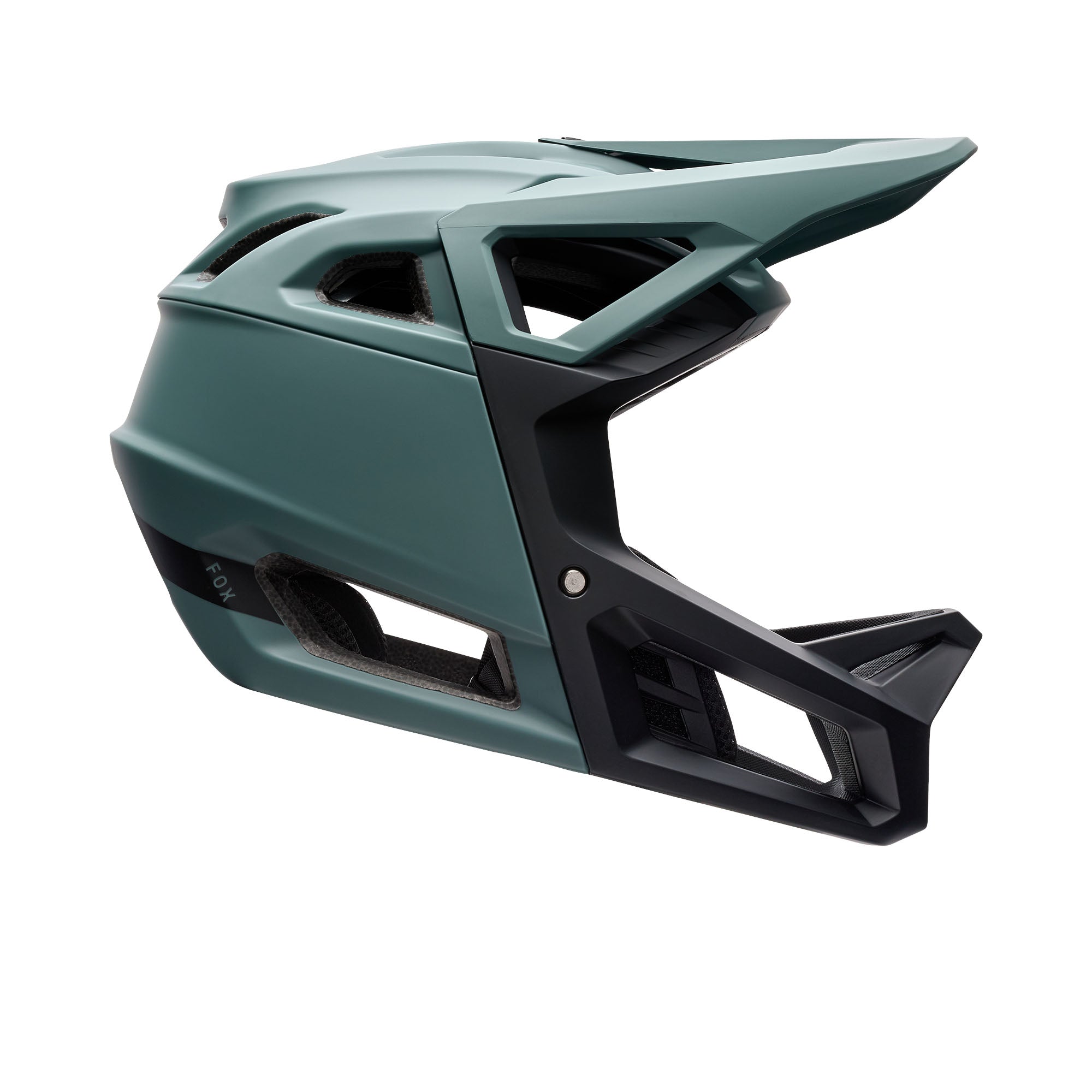 Proframe Helmet