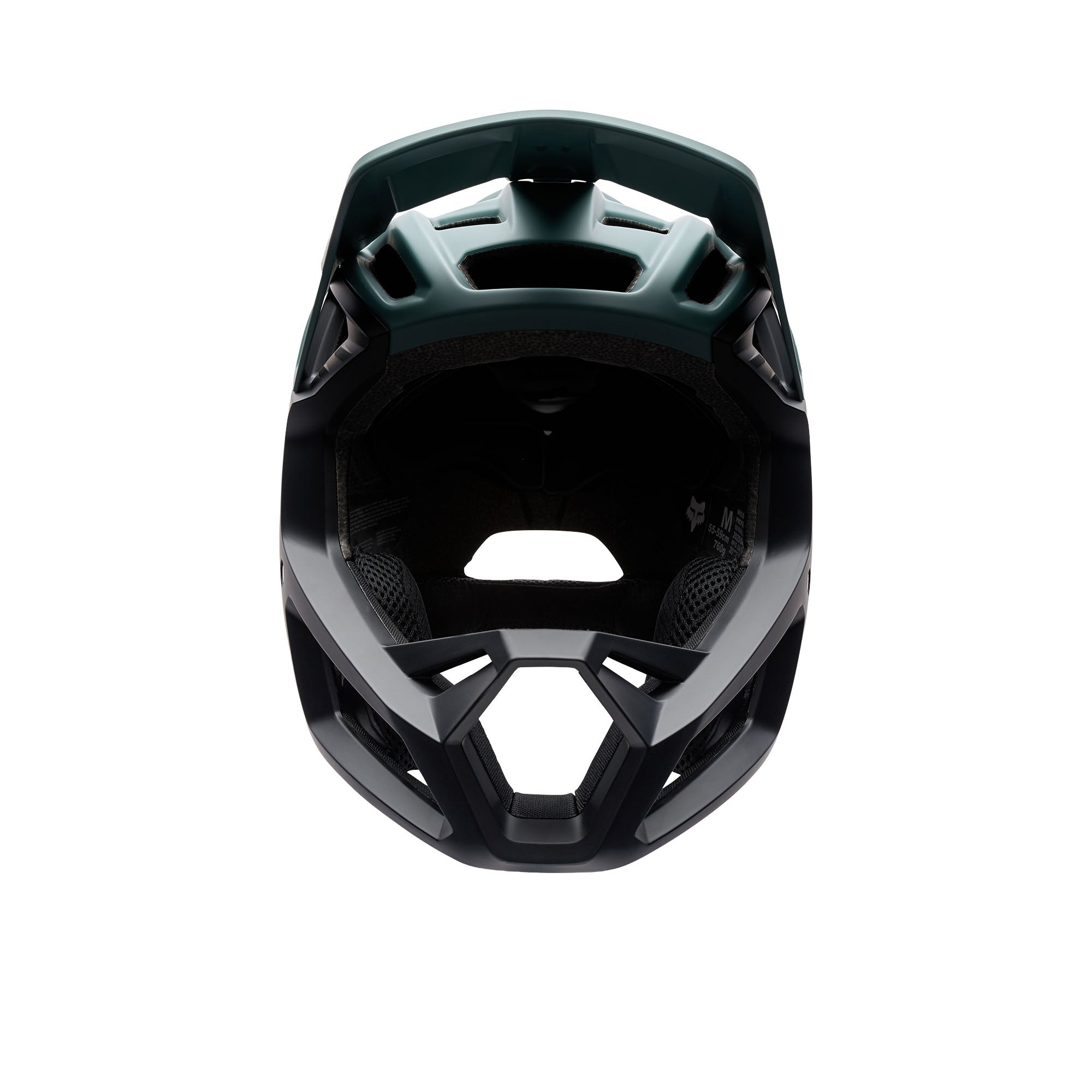 Proframe Helmet