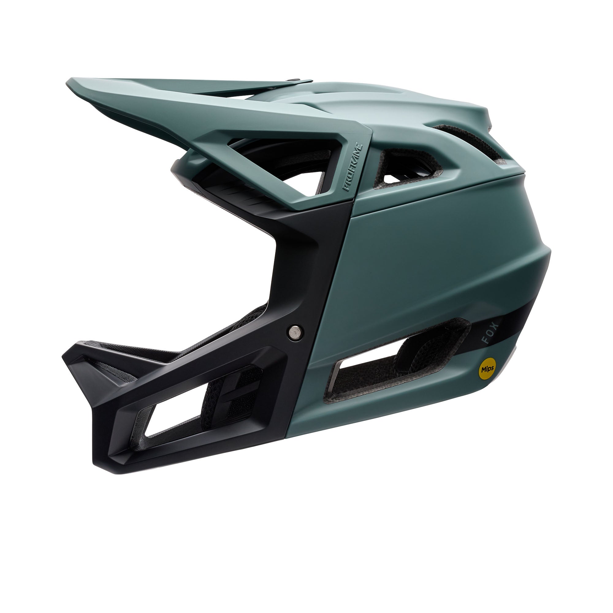 Proframe Helmet