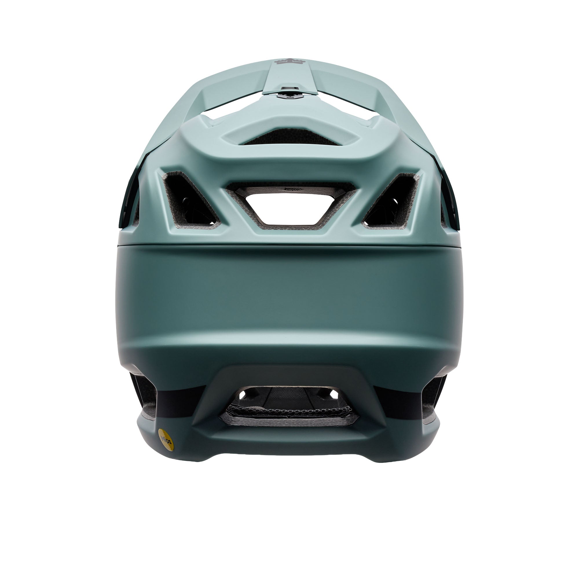 Proframe Helmet