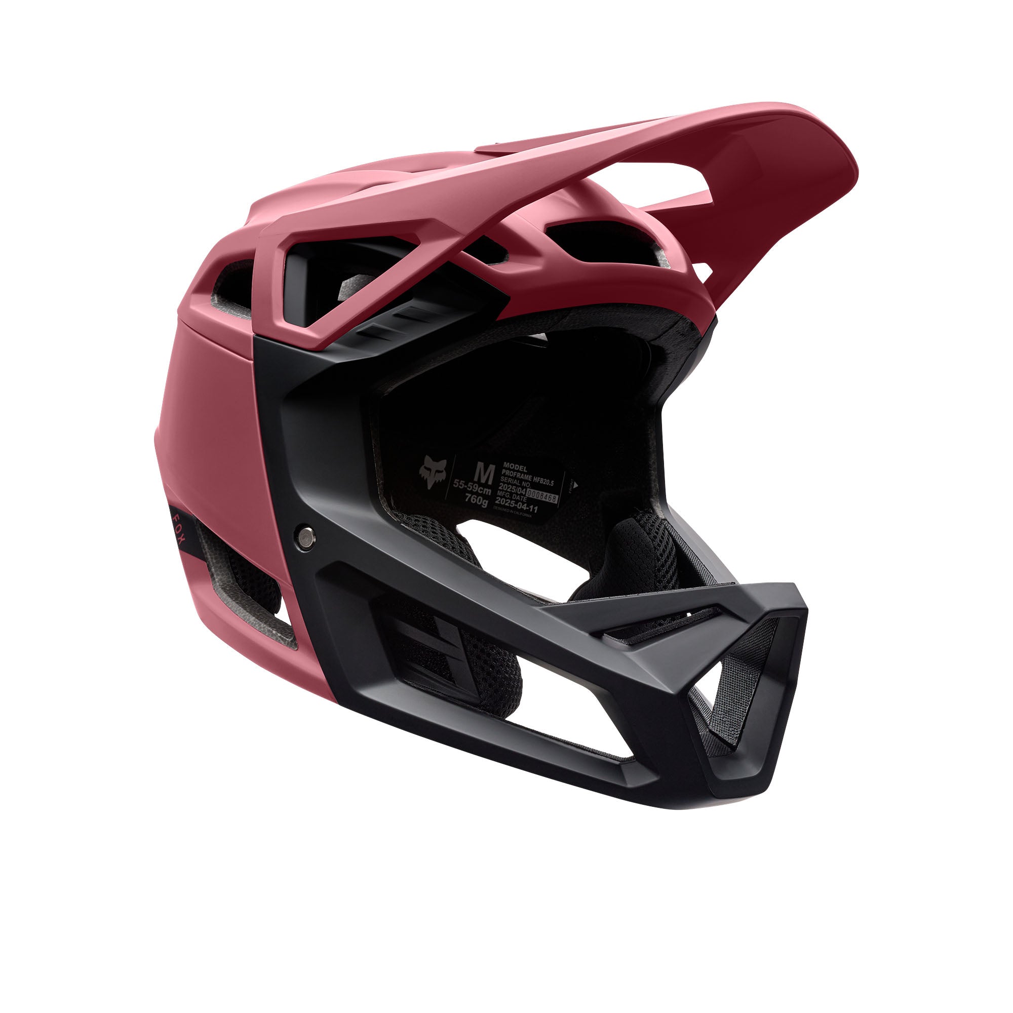 Proframe Helmet