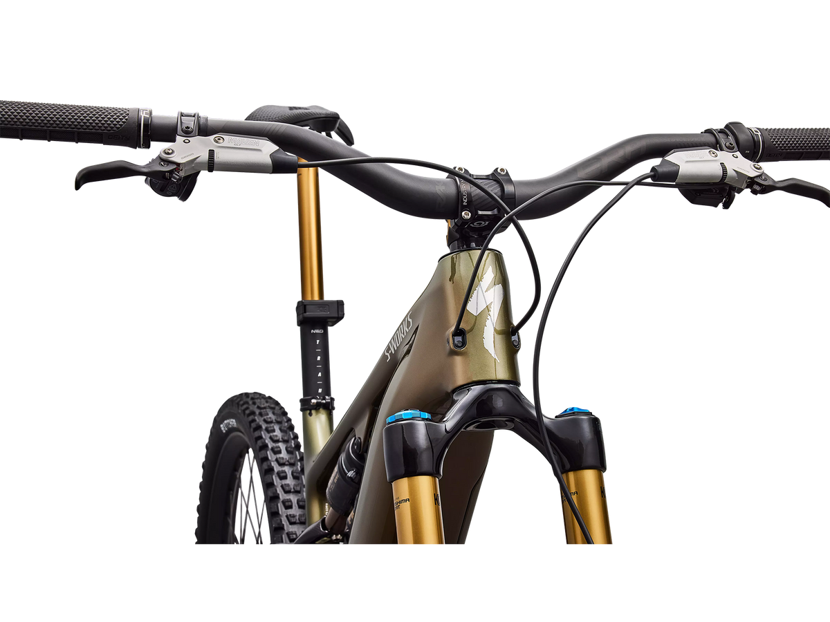 Turbo Levo 4 S-Works Carbon Complete E-Bike