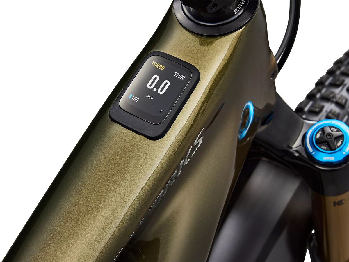 Turbo Levo 4 S-Works Carbon Complete E-Bike
