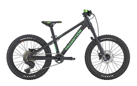 Bandit Youth 20" Hardtail