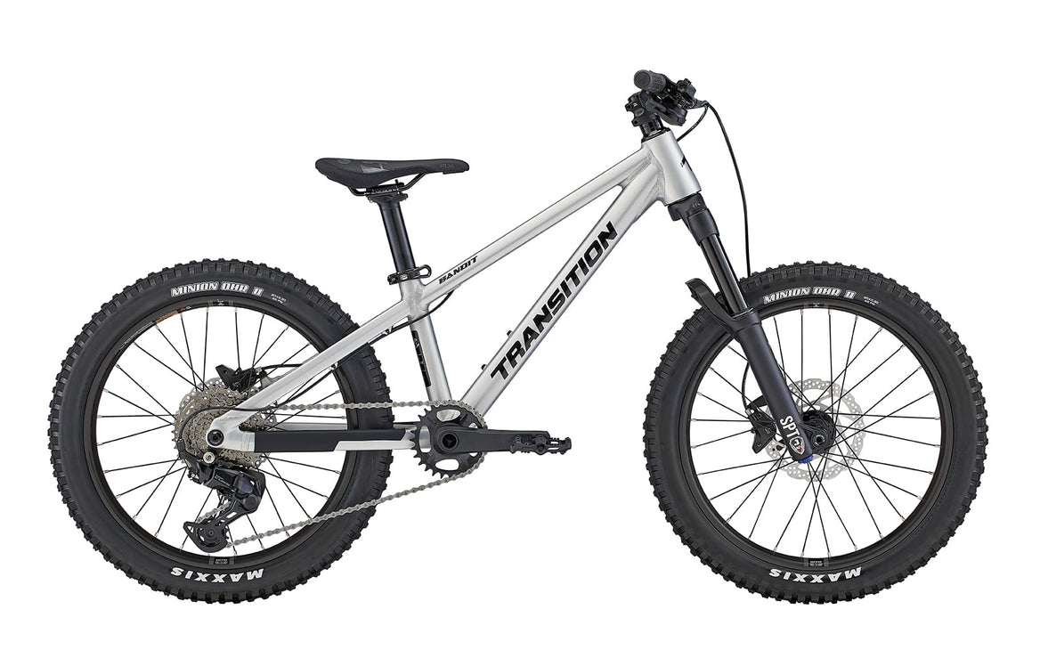 Bandit Youth 20" Hardtail