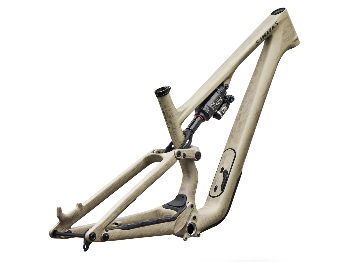 Stumpjumper 15 EVO S-Works Carbon Frameset - 2027