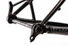 Rootdown (Series VI) Frame - 2025