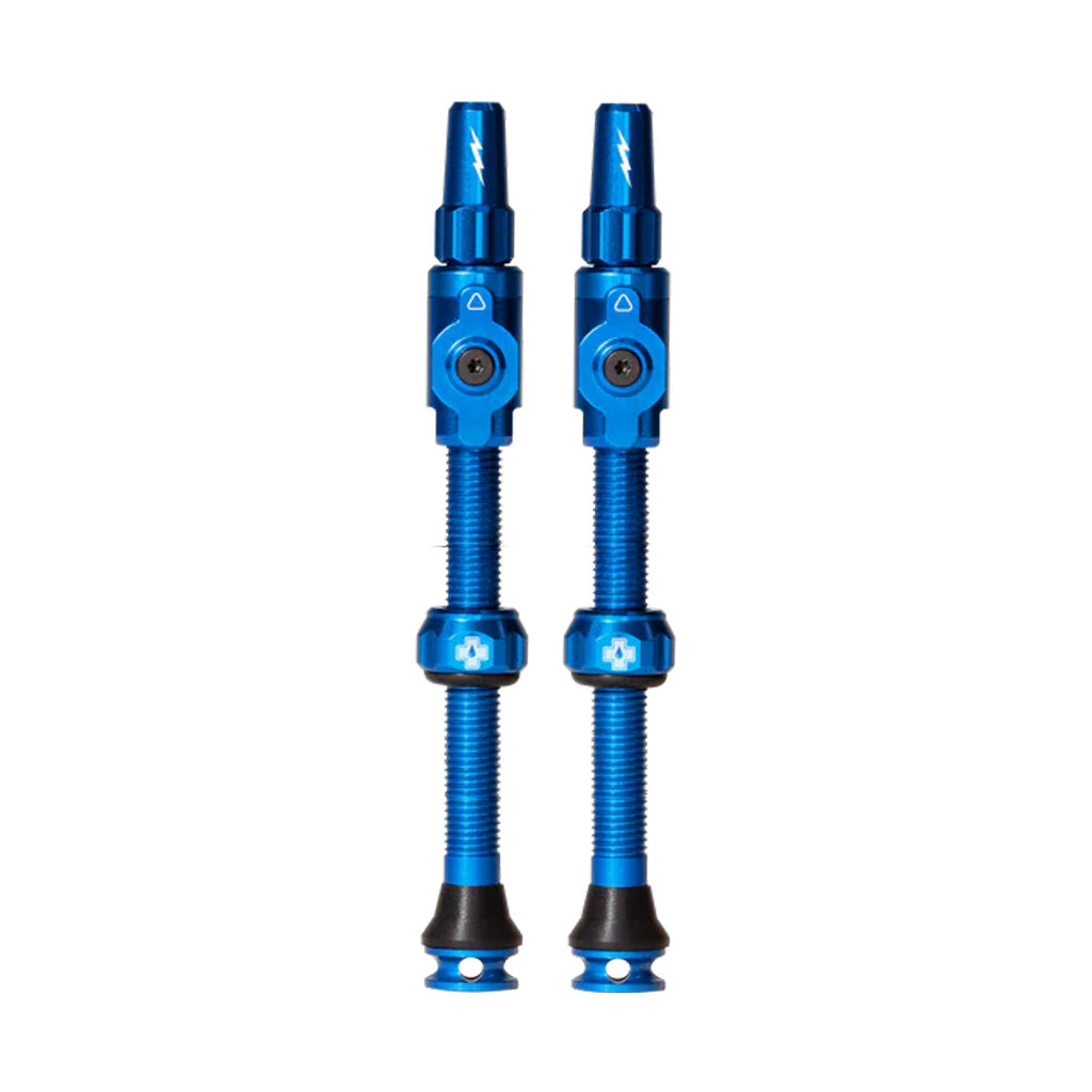 Big Bore Lite Tubeless Valves