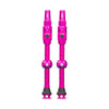 Big Bore Lite Tubeless Valves