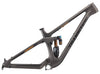 23 Sentinel Carbon Frame
