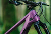Sentinel Carbon Frame - 2025
