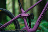 Sentinel Carbon Frame - 2025