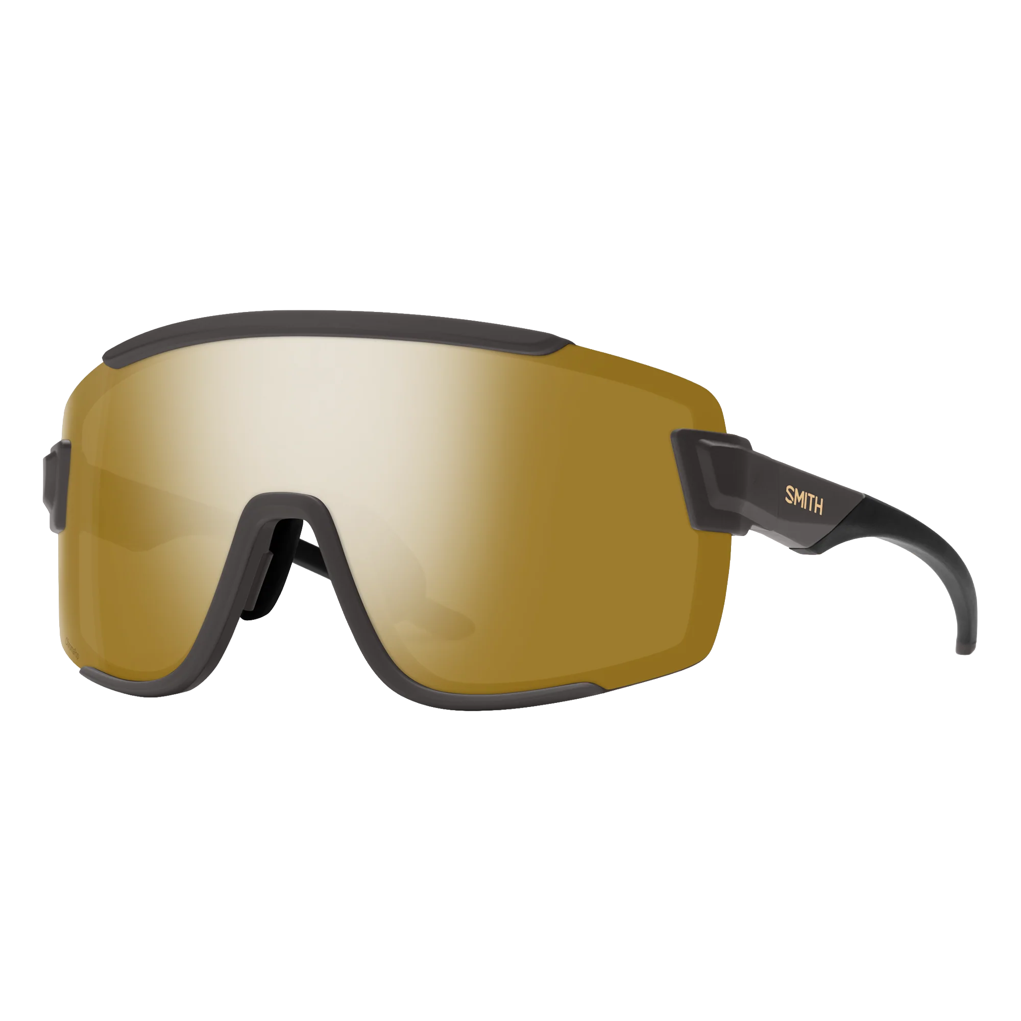 Wildcat Sunglasses