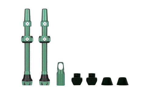 V2 Tubeless Valve Kit