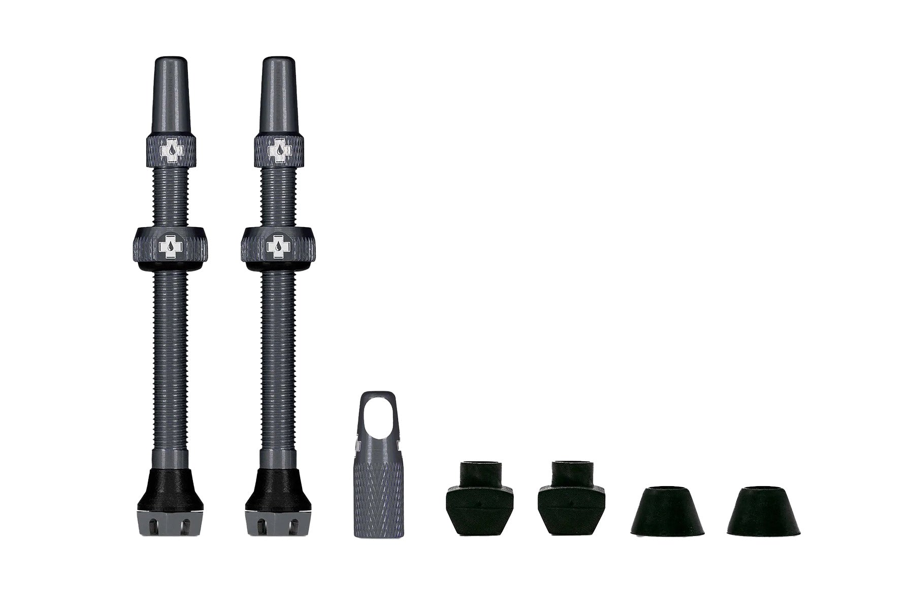 V2 Tubeless Valve Kit