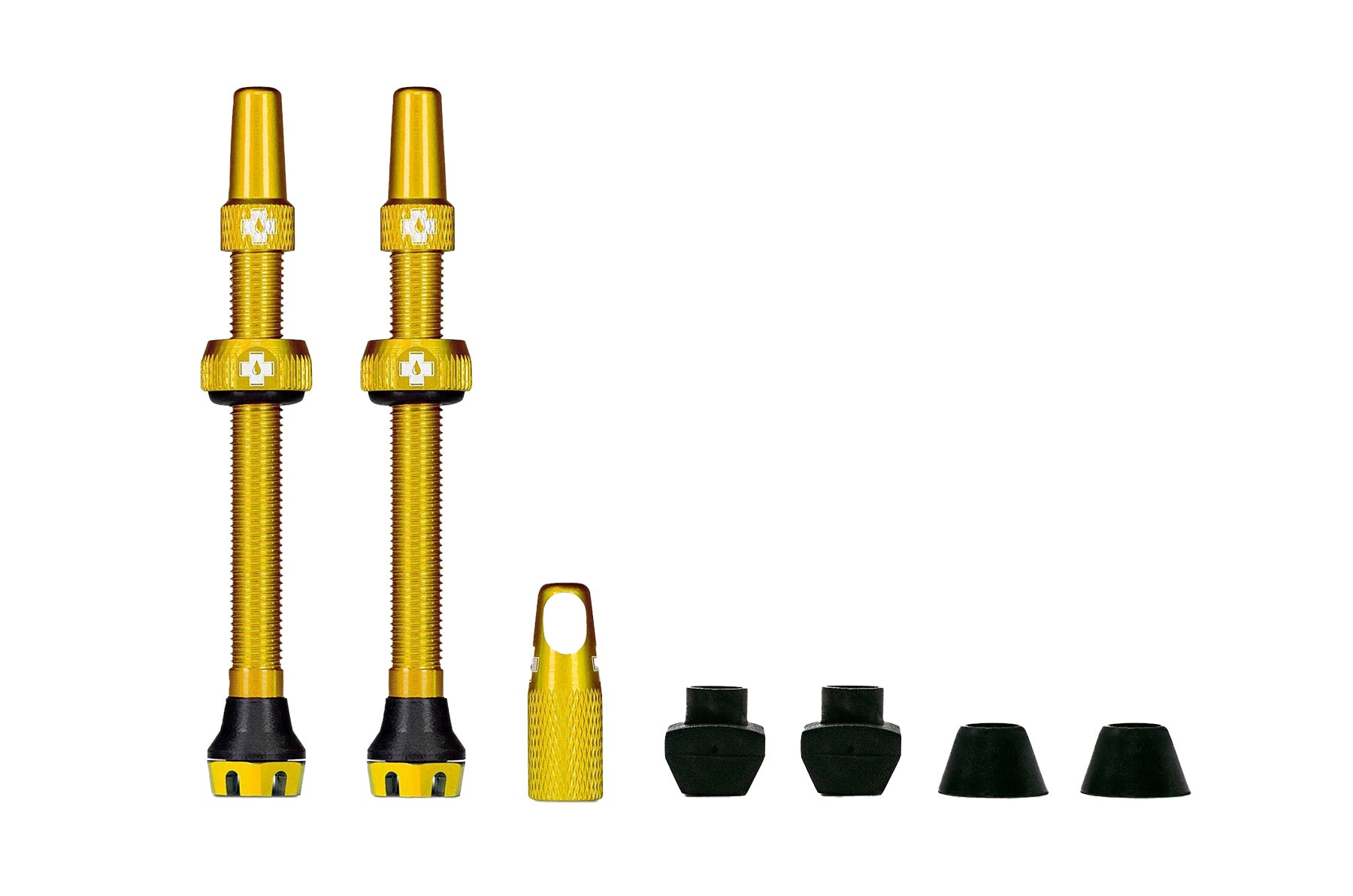 V2 Tubeless Valve Kit