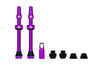 V2 Tubeless Valve Kit