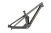 Spur Carbon Frame