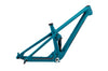 Spur Carbon Frame