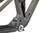 Spur Carbon Frame