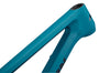Spur Carbon Frame
