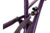 Rascal Carbon Frame