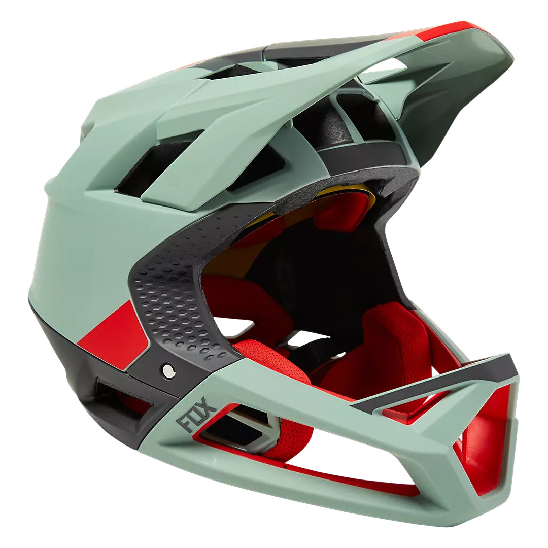 Proframe Helmet