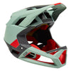 Proframe Helmet