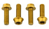 Water Bottle Cage Bolts (4 pack)